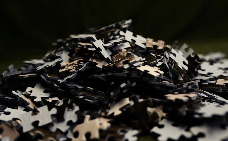 Kidnapping Puzzle